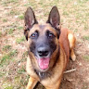 Meet your Posher, Travis